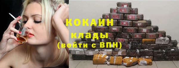 гидра Богородицк
