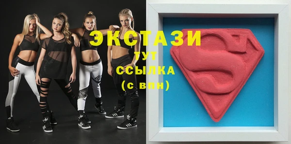 гидра Богородицк