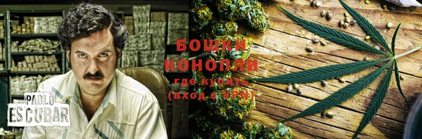 гидра Богородицк