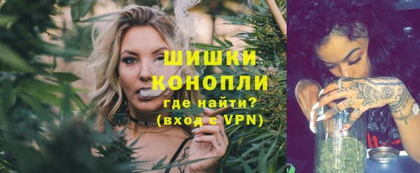 твердый Бронницы