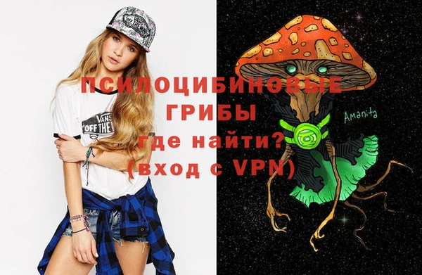 гидра Богородицк