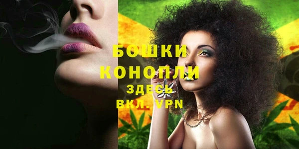 твердый Бронницы