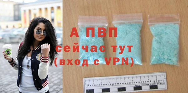гидра Богородицк