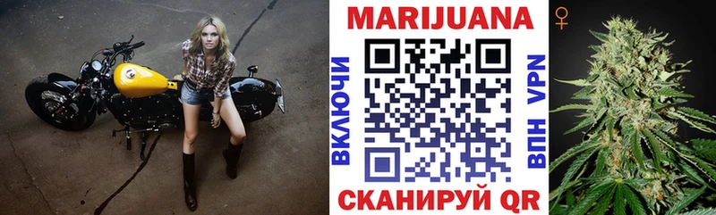 Шишки марихуана ГИДРОПОН OMG как зайти Гремячинск
